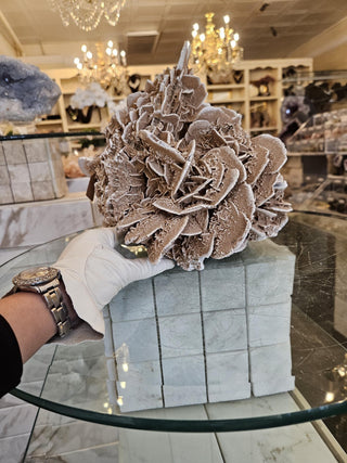 Desert Rose