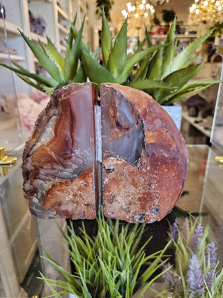 YES - Bookends, Browns, Caramel, White,, Orange,, Agate Bookends, White Crystal, Healing Crystal, Home Decor, Gift (76)