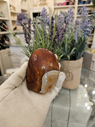 Carnelian Freeform, Egg, Ball, Orb, Obicular, Healing Crystal, Home Decor, Gift (146)