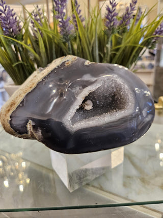 Druzy Agate Geode, Blue and White

CHIQUE Rock Shop