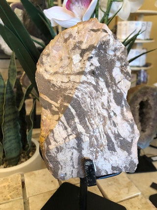 Zebra Jasper, Healing Stone, Home Deocr, Gift(2-26)