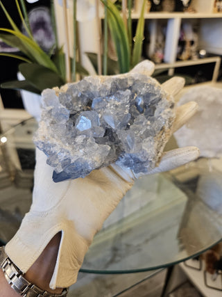 Blue Celestite Cluster, Celestite, Celestite Geode, Healing Crystal, Home Decor, Gift (66-A)