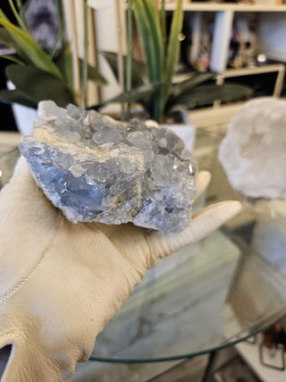 Blue Celestite Cluster, Celestite, Celestite Geode, Healing Crystal, Home Decor, Gift (66-A)