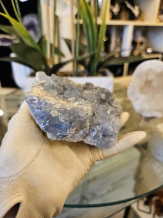 Blue Celestite Cluster, Celestite, Celestite Geode, Healing Crystal, Home Decor, Gift (66-A)
