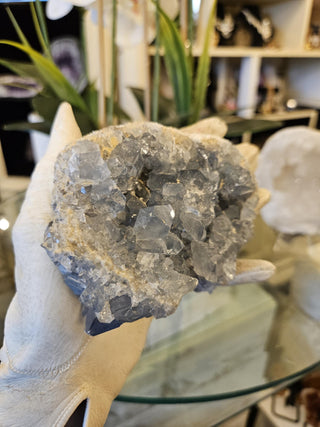 Blue Celestite Cluster, Celestite, Celestite Geode, Healing Crystal, Home Decor, Gift (66-A)