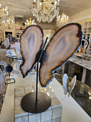 Butterfly Agate, Beige, Cream, Healing Crystal, Home Decor, Gift (140)