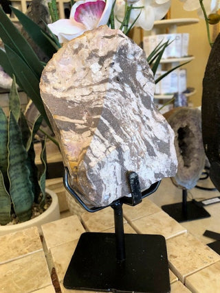 Zebra Jasper, Healing Stone, Home Deocr, Gift(2-26)