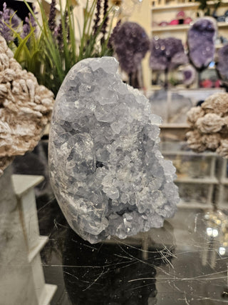 YES - Celestite Cluster, Celestite, Celestite Geode, Healing Crystal, Home Decor, Gift (56)