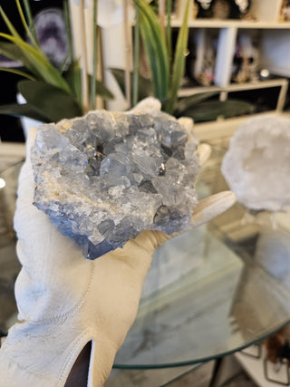 Blue Celestite Cluster, Celestite, Celestite Geode, Healing Crystal, Home Decor, Gift (66-A)