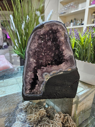 AMETHYST CAVE, CATHEDRAL

CHIQUE Rock Shop 
