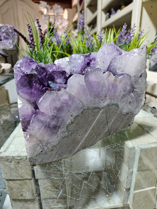Amethyst Crystal

CHIQUE Rock Shop