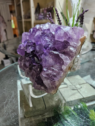 Amethyst Crystal Cluster

CHIQUE Rock Shop