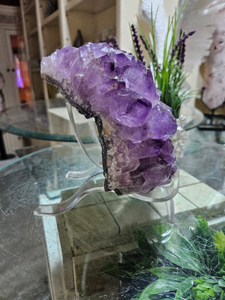 Amethyst Crystal Cluster

CHIQUE Rock Shop