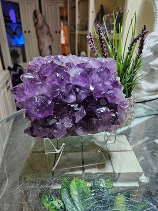 Amethyst Crystal Cluster

CHIQUE Rock Shop