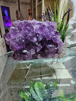Amethyst Crystal Cluster

CHIQUE Rock Shop