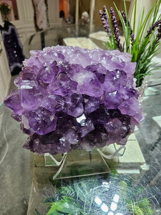 Amethyst Crystal Cluster

CHIQUE Rock Shop