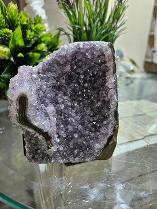 Amethyst on Glass Table

CHIQUE Rock Shop