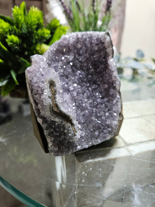 Amethyst on Glass Table

CHIQUE Rock Shop