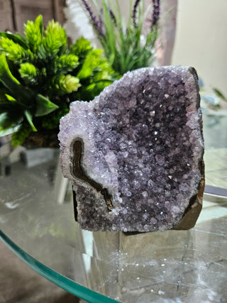 Amethyst on Glass Table

CHIQUE Rock Shop