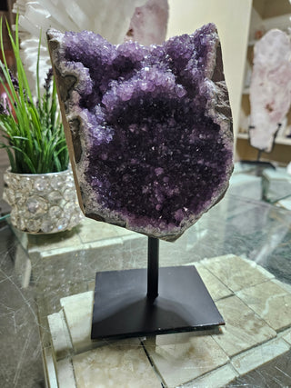Amethyst on Metal Stand

CHIQUE Rock Shop