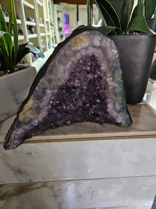 Amethyst Crystal Geode plants in background

CHIQUE Rock Shop