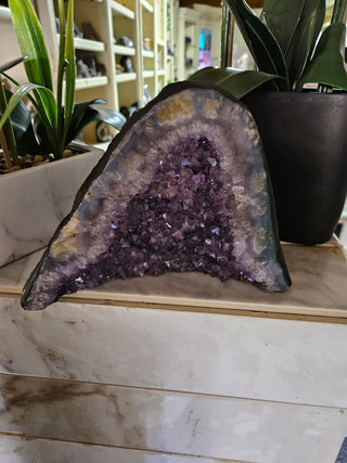 Amethyst Crystal Geode plants in background

CHIQUE Rock Shop