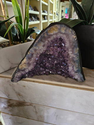 Amethyst Crystal Geode plants in background

CHIQUE Rock Shop 
