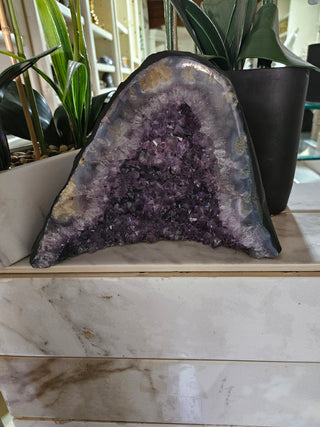 Amethyst Crystal Geode plants in background

CHIQUE Rock Shop 
