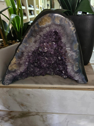 Amethyst Crystal Geode plants in background

CHIQUE Rock Shop 