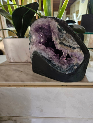 Amethyst Crystal Geode plants in background

CHIQUE Rock Shop 
