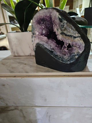Amethyst Crystal Geode plants in background

CHIQUE Rock Shop 