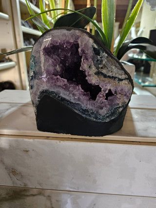Amethyst Crystal Geode plants in background

CHIQUE Rock Shop 