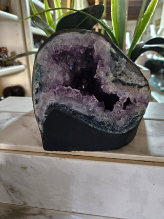 Amethyst Crystal Geode plants in background

CHIQUE Rock Shop 