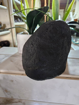 Amethyst Crystal Geode plants in background

CHIQUE Rock Shop 