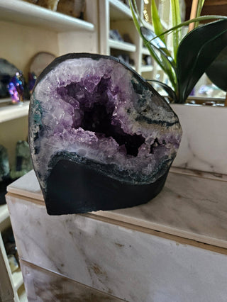 Amethyst Crystal Geode plants in background

CHIQUE Rock Shop 