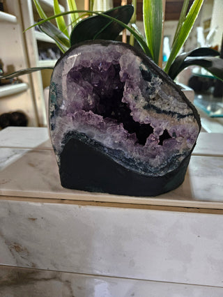 Amethyst Crystal Geode plants in background

CHIQUE Rock Shop 