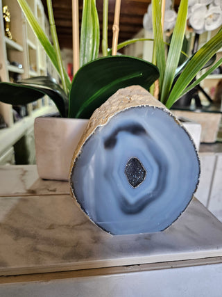 Geode Slab with druzy blue center next to a plant