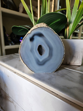 Geode Slab with druzy blue center next to a plant

CHIQUE Rock Shop 