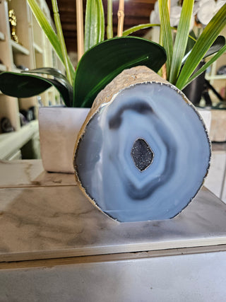 Geode Slab with druzy blue center next to a plant

CHIQUE Rock Shop 
