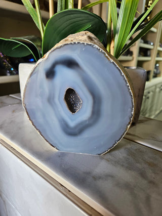 Geode Slab with druzy blue center next to a plant

CHIQUE Rock Shop 
