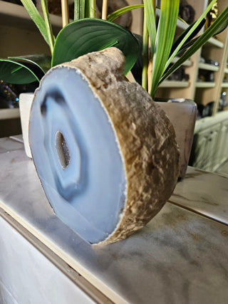 Geode Slab with druzy blue center next to a plant

CHIQUE Rock Shop 