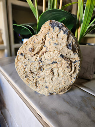 Geode Slab with druzy blue center next to a plant

CHIQUE Rock Shop 