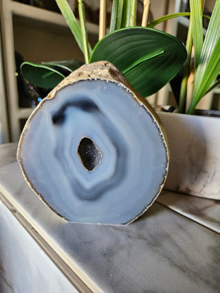 Geode Slab with druzy blue center next to a plant

CHIQUE Rock Shop 