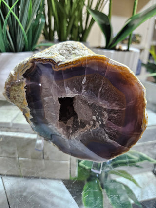 Blue Agate Geode on Acrylic Stand

CHIQUE Rock Shop