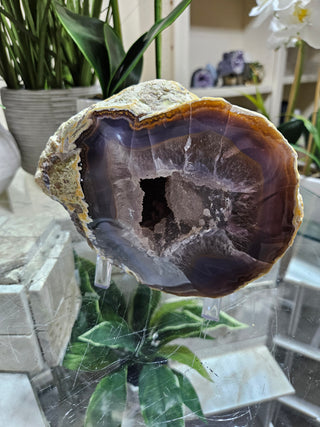 Blue Agate Geode on Acrylic Stand

CHIQUE Rock Shop