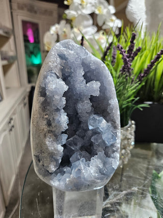 Celestite Crystal

CHIQUE Rock Shop 