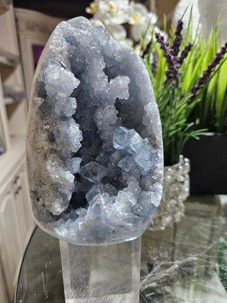 Celestite Crystal

CHIQUE Rock Shop 