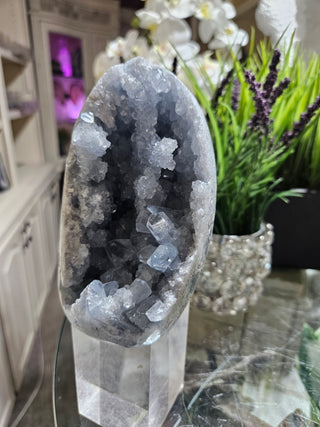 Celestite Crystal

CHIQUE Rock Shop 