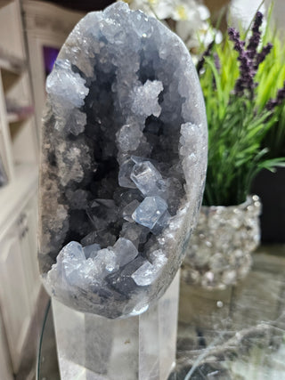 Celestite Crystal

CHIQUE Rock Shop 