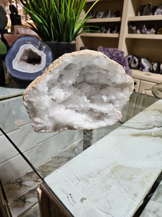 Clear Quartz Geode crystal on a table with a plant.

CHIQUE Rock Shop